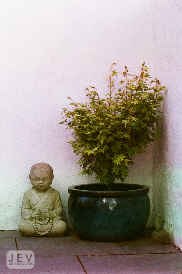 A serene corner featuring a stone statue of a meditating figure, a green potted plant, and a smooth wall.